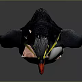 Cute Penguin Character With Yellow Eyebrows Red Beak And Pink Feet