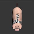 Cute Pink Pig Character With Black White Striped Harness And Pink Hooves