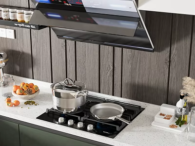 Modern gas stove gas stove combination 3d model