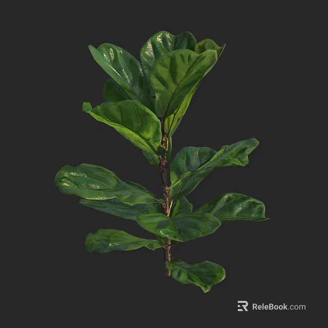 Vibrant Green Plant With Lush Large Healthy Leaves Growing On Brown Stem 3d model 