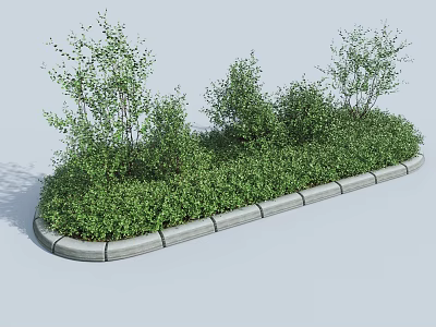 Lush Green Shrubs in Gray Bordered Landscape Bed with Natural Foliage 3d model