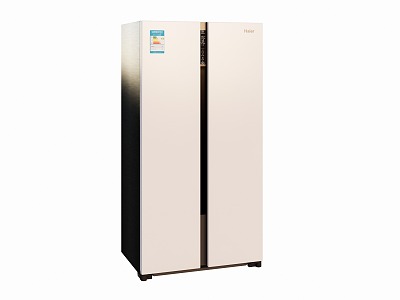 Simple double door refrigerator model