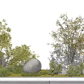 Garden Ornamental Display Featuring Trees Shrubs Large Stones And Green Grass