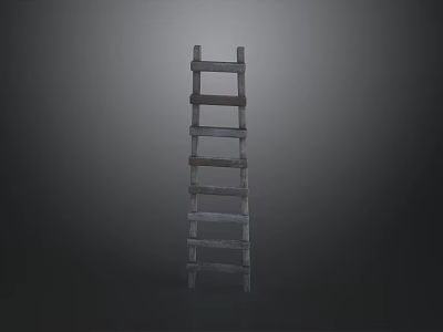 Rustic Wooden Ladder With Multiple Rungs Standing On Dark Background 3d model