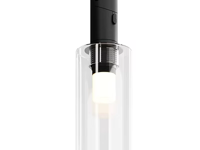 Downlight Spotlight Home Lighting With Black Body Transparent Shade Modern Design 3d model