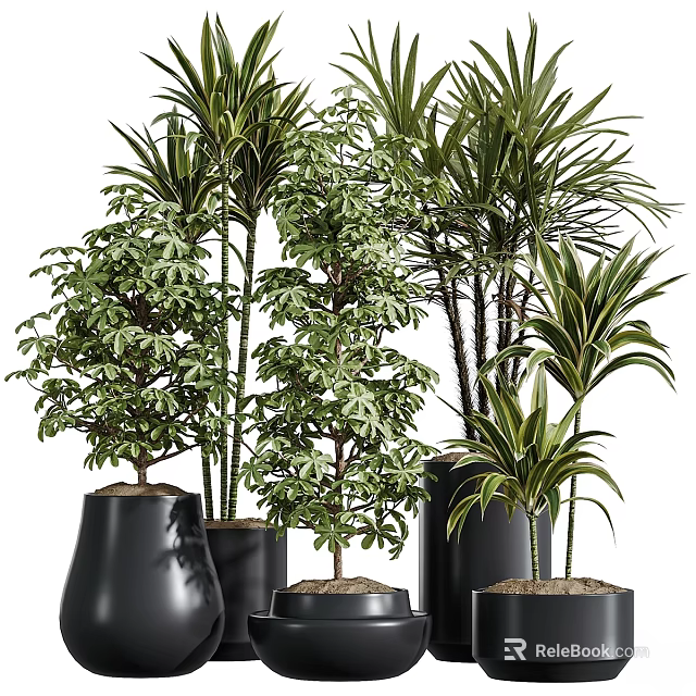 Decorative Indoor Plant Ornament Set With Various Green Plants In Black Pots And Different Heights 3d model 