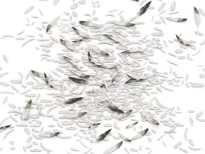 Light Soft White and Black Feathers Scattered on White Background 3d model