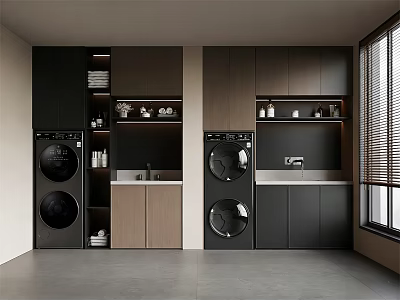 Modern Balcony Cabinets With Washing Machines Sink Storage And Organized Design 3d model