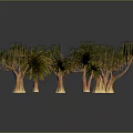 Various Palm Trees With Green Leaves And Brown Trunks In Different Sizes 3d model