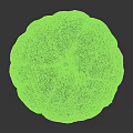 Fresh Peeled Citrus Fruit With Textured Surface And Vibrant Orange Color