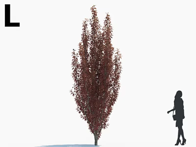 Tall Lush Red Leaf Arbor in Outdoor Scene with Woman Silhouette 3d model