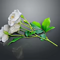 Blooming White Roses With Fresh Green Leaves And Stems And Reflection On Dark Background