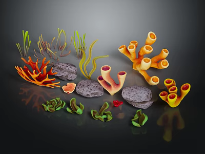 Colorful Marine Corals Seaweeds and Rocks Collection for Scene Design 3d model