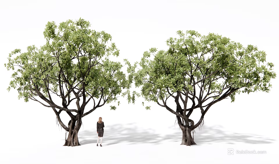 Large Green Leafy Arbor Trees With Person Standing Between For Size Reference 3d model 