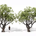 Large Green Leafy Arbor Trees With Person Standing Between For Size Reference 3d model