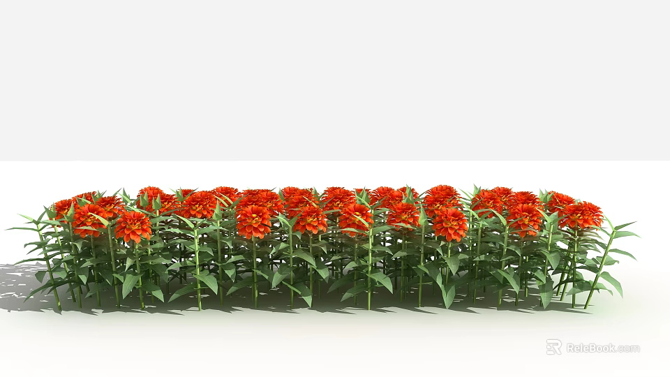 Blooming Red Flowers with Green Stems and Leaves in a Neatly Arranged Garden Flower Bed 3d model 