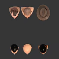Collection Of Men's Head Models With Diverse Hairstyles And Facial Features