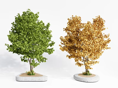 Lush Trees with Green and Golden Foliage Planted on Circular Stone Bases 3d model