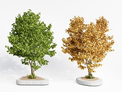 Modern Tree Landscape Tree Garden Tree 3d model