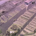Aerial View of Neat Farmland Landscape with Geometric Rows and Surrounding Trees