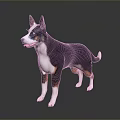 Detailed 3D Character Model of Black White Brown Dog Standing on Dark Reflective Surface