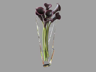 Elegant Transparent Crystal Vase With Deep Purple Calla Lilies And Green Stems 3d model