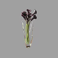 Elegant Transparent Crystal Vase With Deep Purple Calla Lilies And Green Stems