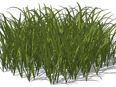 Lush Green Tall Grass With Fresh Blades And Natural Shade 3d model