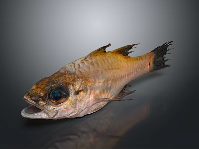 Fresh Fish with Big Eyes Open Mouth Golden Brown Scales Fins Tail on Dark Background 3d model