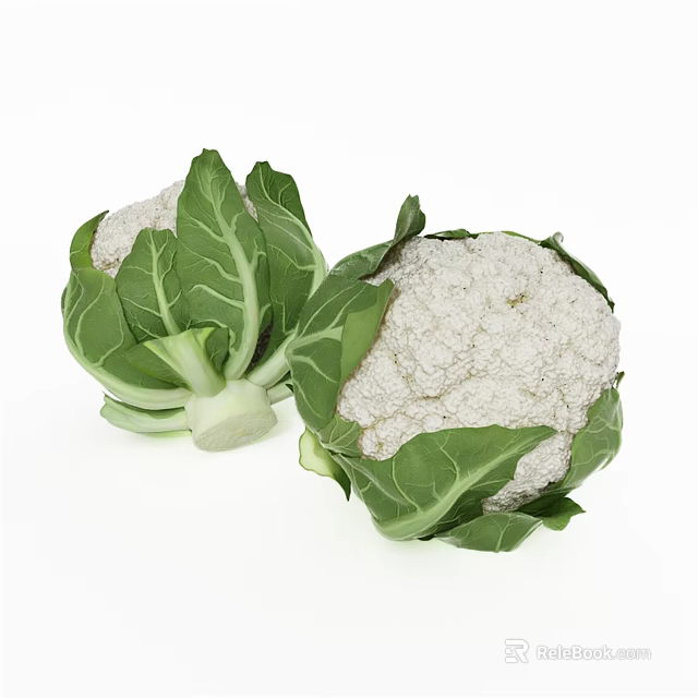 Fresh Organic Whole Cauliflower Heads with Green Leaves on White Background 3d model 