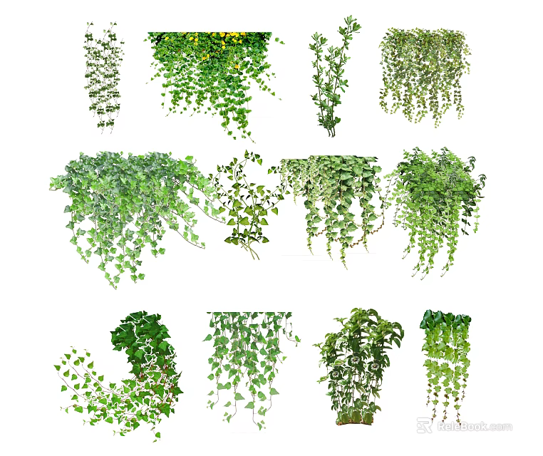 Various Green Hanging and Climbing Vines with Lush Leaves for Decoration 3d model 