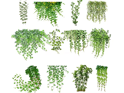 Various Green Hanging and Climbing Vines with Lush Leaves for Decoration 3d model