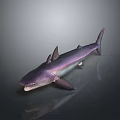 3D Model of Realistic Purple Shark Aquatic Animal with Swimming Pose and Detailed Features