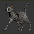 3D Rendered Spotted Cat Walking On Gray Background With Ears And Tail