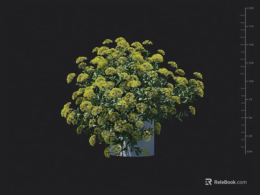 Indoor Decorative Bonsai Potted Plant With Lush Yellow Flowers In White Pot 3d model 