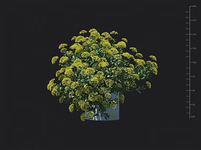 Indoor Decorative Bonsai Potted Plant With Lush Yellow Flowers In White Pot 3d model