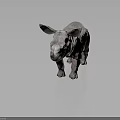 Realistic 3D Baby Rhinoceros Model With Gray Wrinkled Skin Small Horn And Smooth Surface