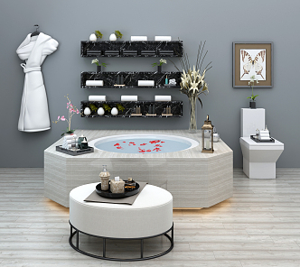 Modern Bathtub 3d model