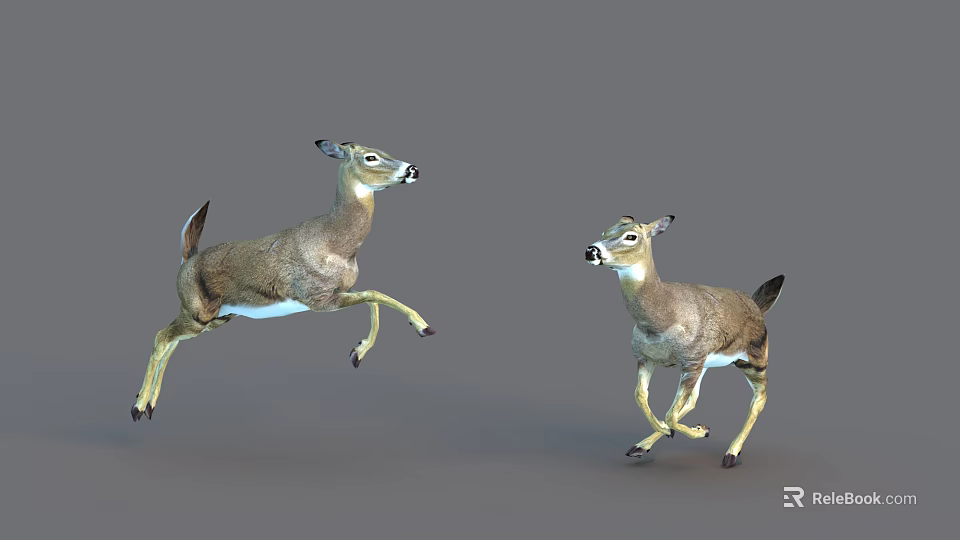 Two Reptiles In Dynamic Motion Jumping And Running On Grey Background 3d model 