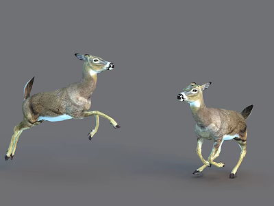 Two Reptiles In Dynamic Motion Jumping And Running On Grey Background 3d model