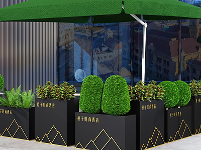 Elegant Garden Decor with Black Planters Gold Geometric Accents and Green Topiaries Under Green Awning 3d model