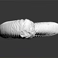 modern fossil chrysanthemum ancient fossil biological fossil 3d model