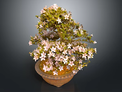 Beautiful Bonsai Plant With Pink Flowers And Green Leaves In Terracotta Pot 3d model