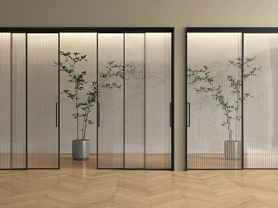Modern Sliding Glass Doors With Black Frames And Indoor Plants On Wooden Floor 3d model