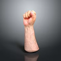 Detailed Realistic Clenched Fist Arm 3D Model With Gray Gradient Background 3d model