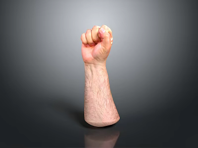 Detailed Realistic Clenched Fist Arm 3D Model With Gray Gradient Background 3d model