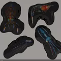 Colorful Marine Life Inflatable Models with Squid Shrimp and Cuttlefish Designs