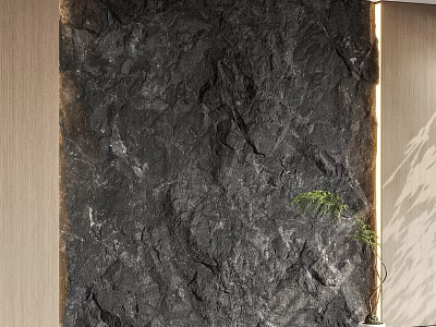 Dark Textured Stone Feature Wall In Modern Interior With Wooden Panel And Green Plant 3d model