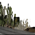Cactus Bonsai Potted Plants Of Various Heights With Rocks And Dry Grass On Gray Platform