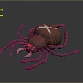 3D Spider Model With Red Legs White Cross On Brown Body And Red Eyes